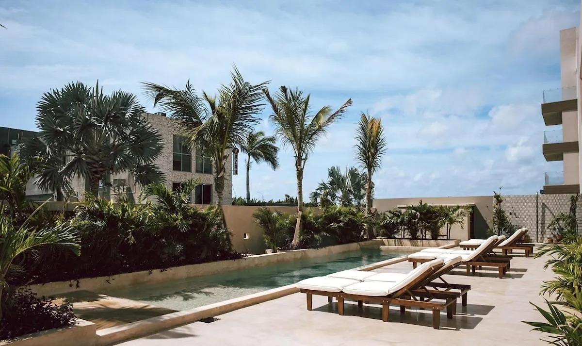 Casa Palma - Apt 4 Palm Beach Apartment